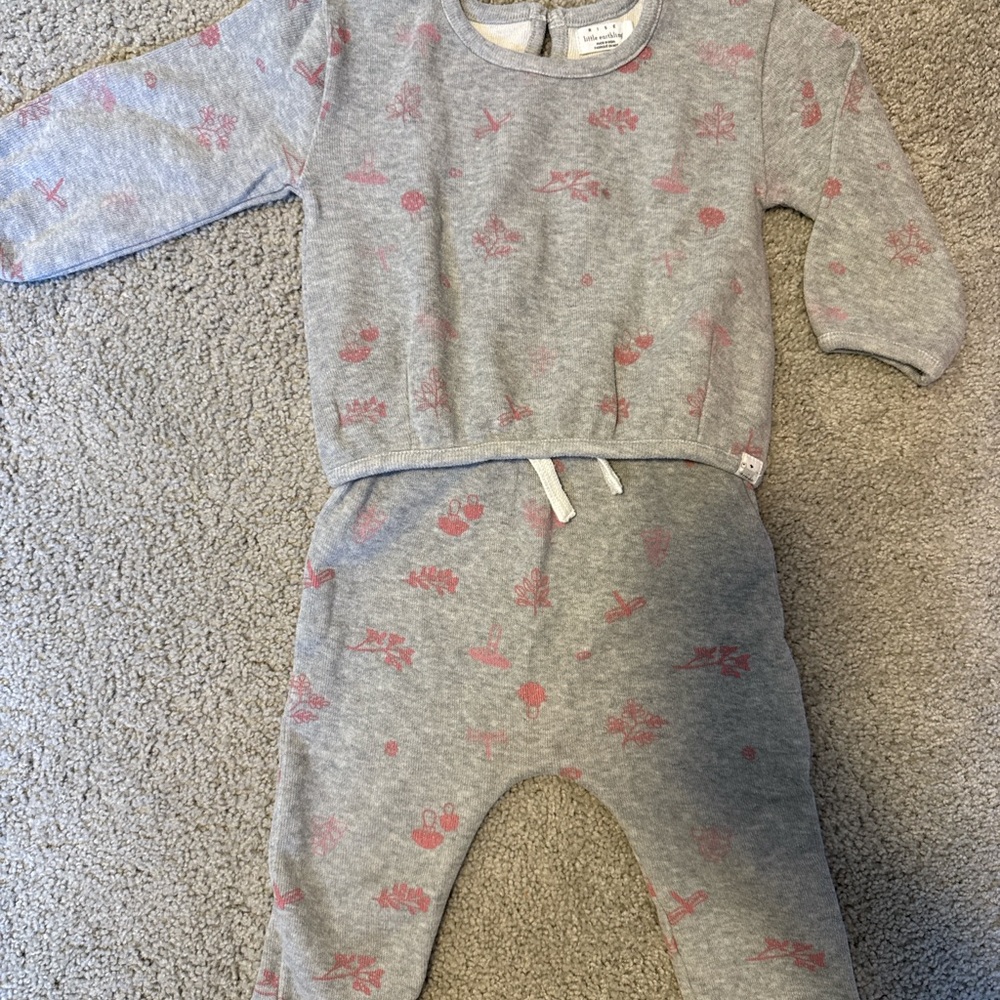 Little Earthling Gray and Pink Baby Outfit